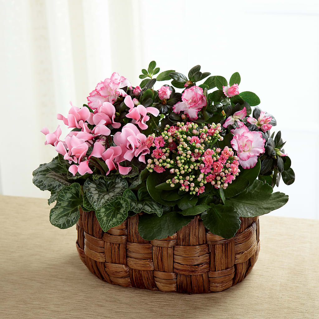 Pink Assortment – GLAMMY'S FLOWER GARDEN, Fayette AL