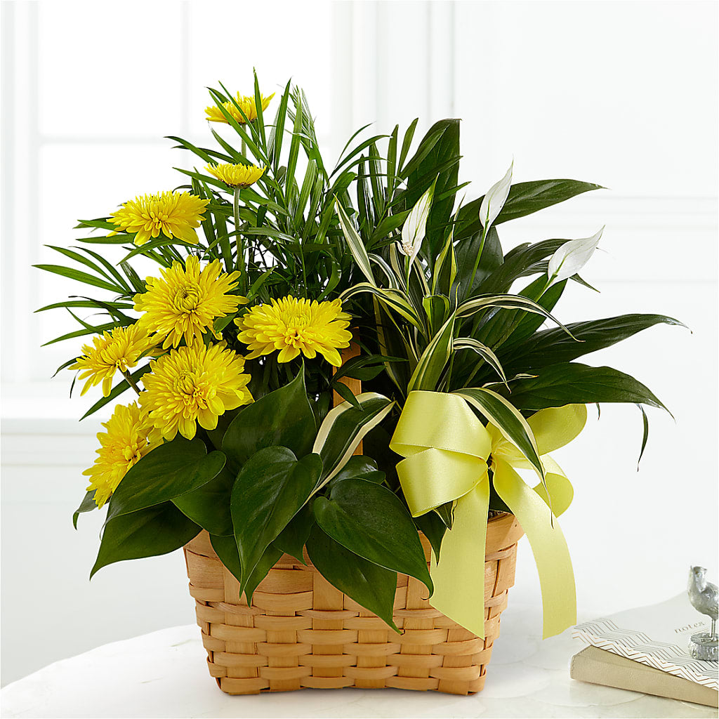 Loving Light Dishgarden – GLAMMY'S FLOWER GARDEN, Fayette AL