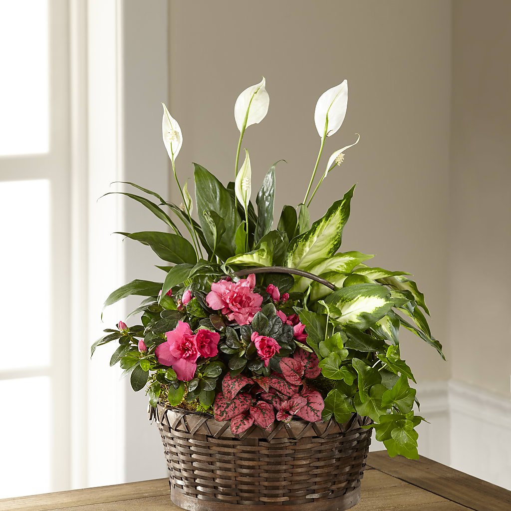 Dream in Pink Dishgarden – GLAMMY'S FLOWER GARDEN, Fayette AL