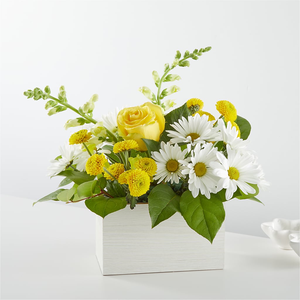 Sun Salutation Box Bouquet – GLAMMY'S FLOWER GARDEN, Fayette AL