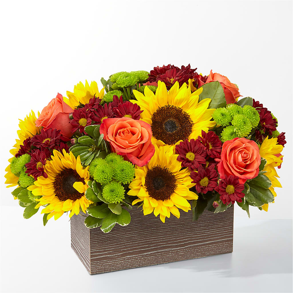 Happy Harvest Garden – GLAMMY'S FLOWER GARDEN, Fayette AL