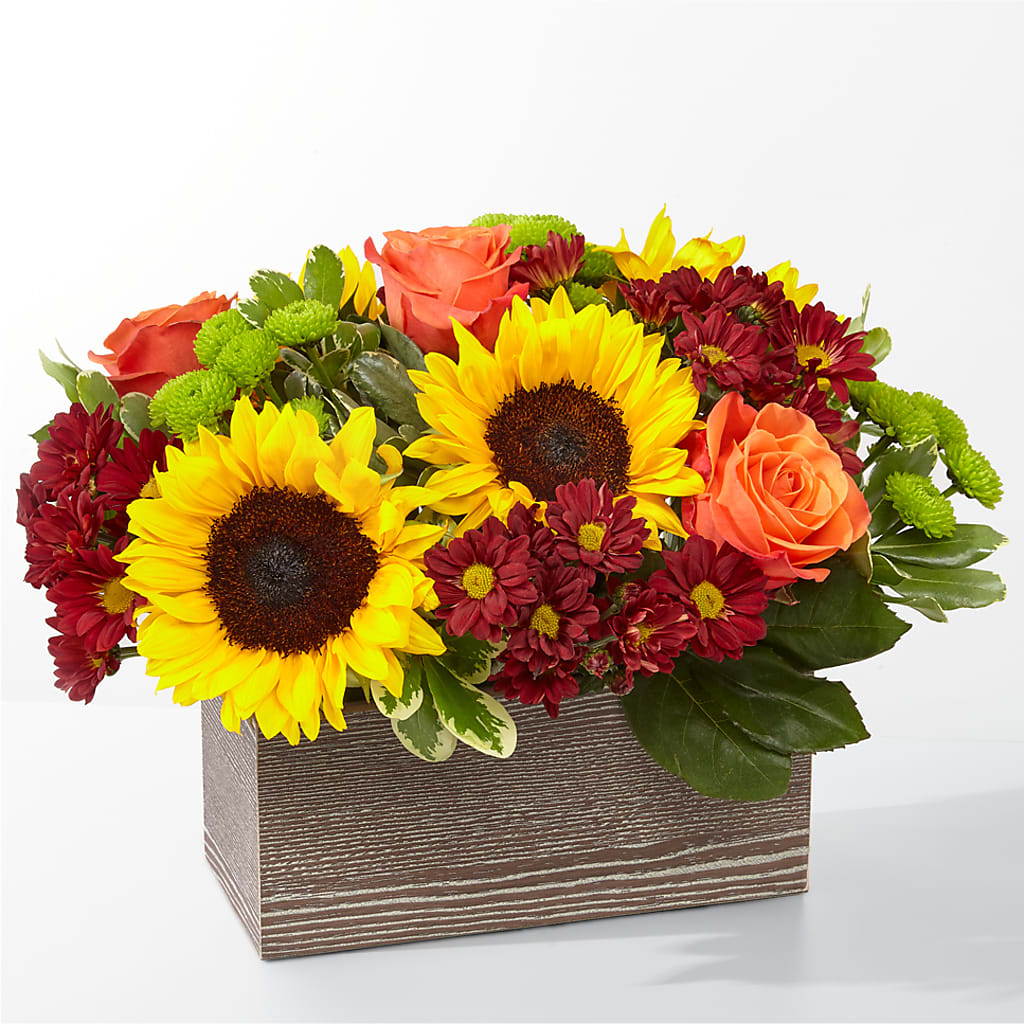 Happy Harvest Garden – GLAMMY'S FLOWER GARDEN, Fayette AL