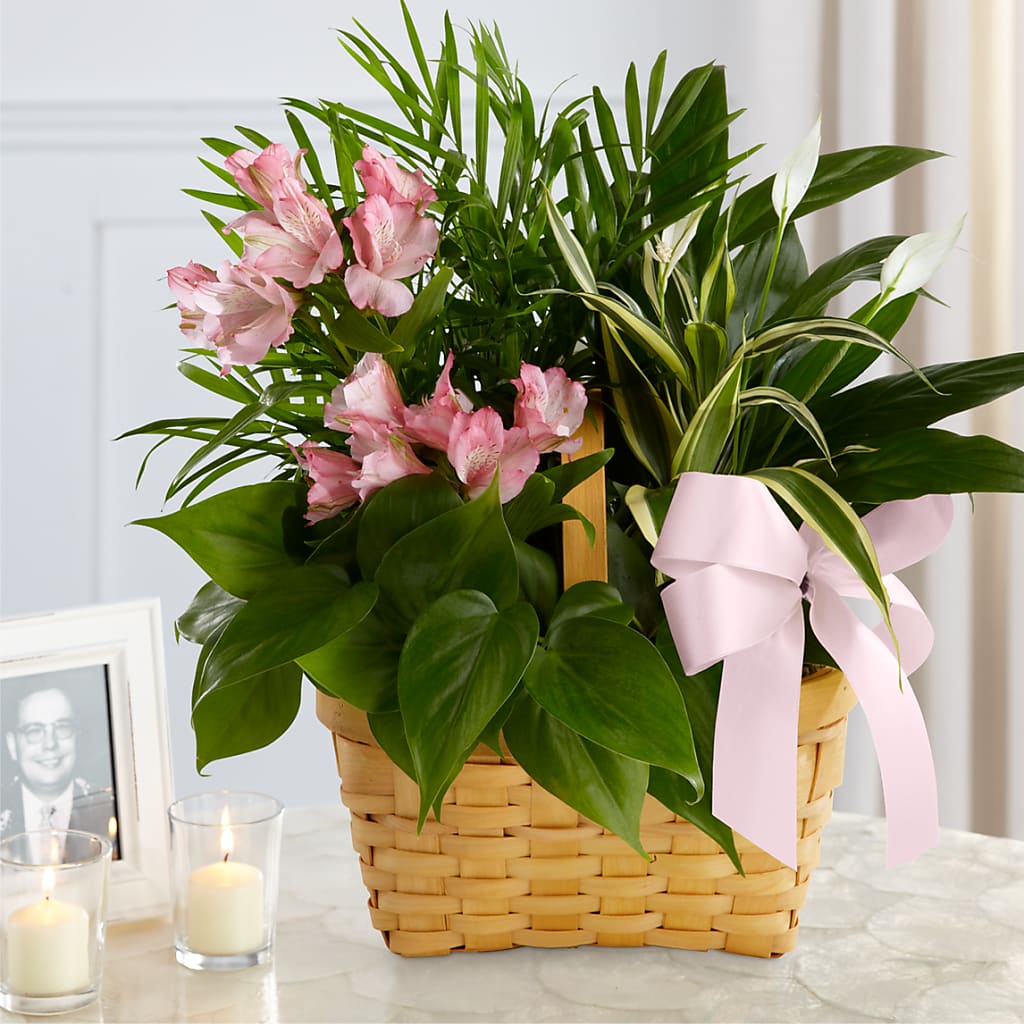 Living Spirit Dishgarden – GLAMMY'S FLOWER GARDEN, Fayette AL