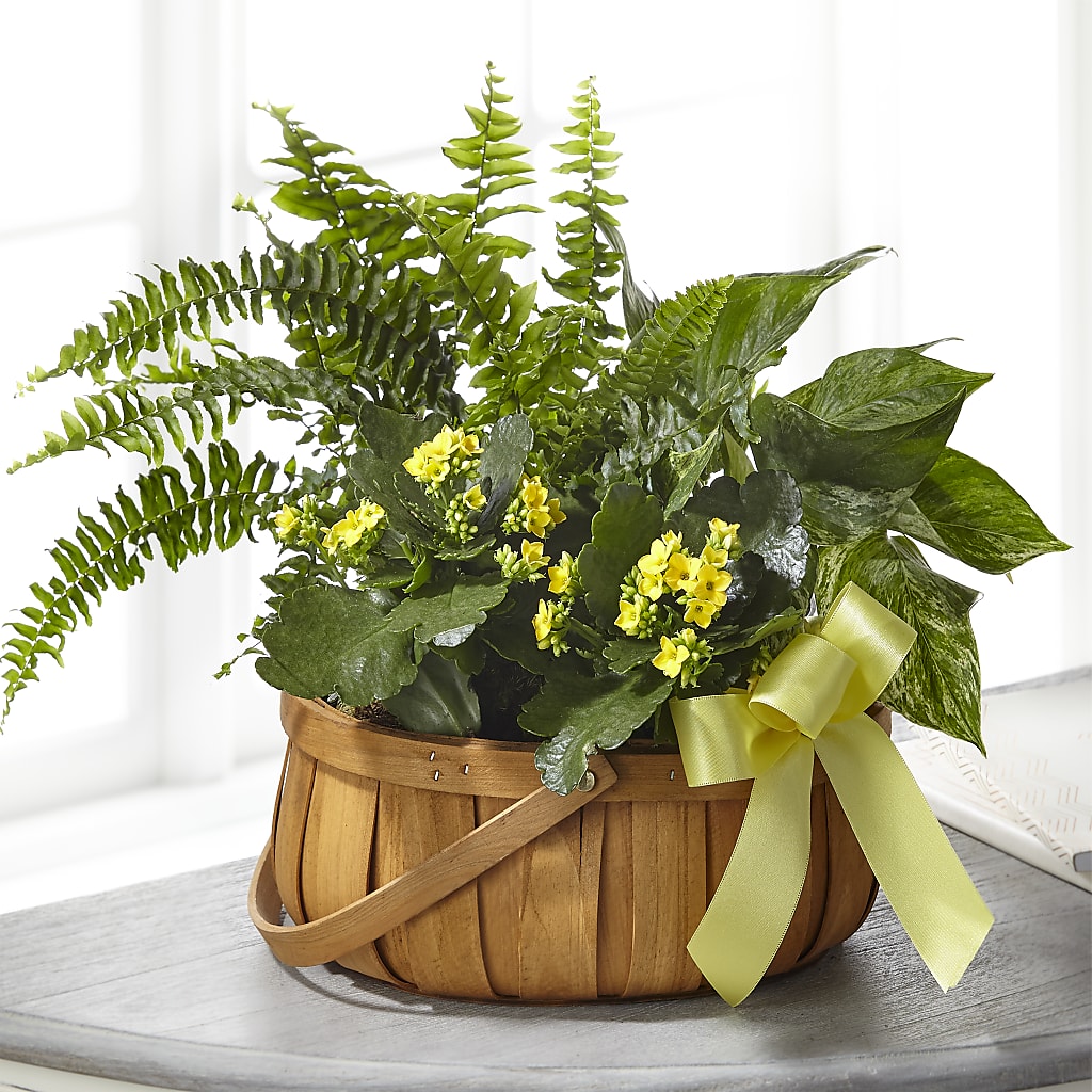 Always Dear Dishgarden – GLAMMY'S FLOWER GARDEN, Fayette AL