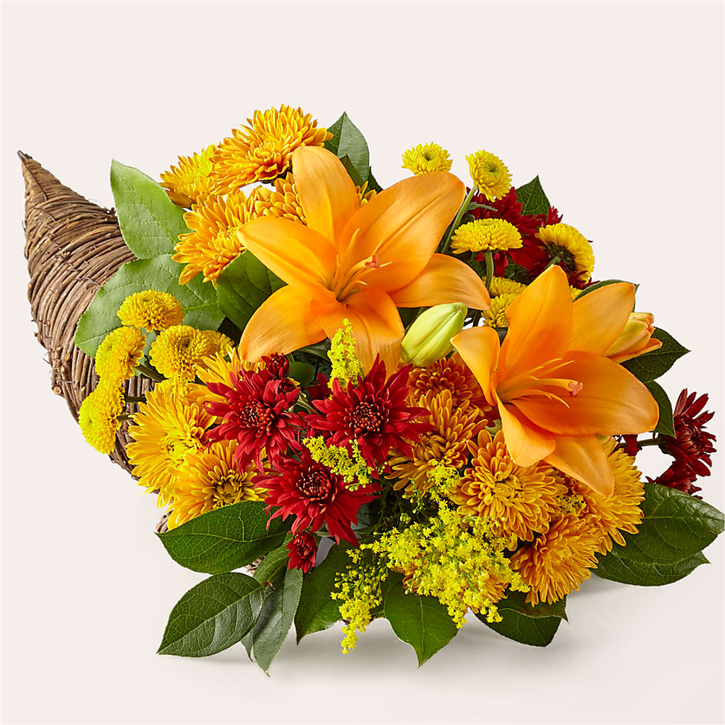 Feast of Color Cornucopia – GLAMMY'S FLOWER GARDEN, Fayette AL