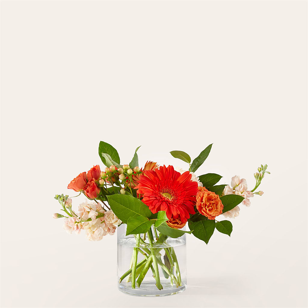 Paloma Please Bouquet – GLAMMY'S FLOWER GARDEN, Fayette AL