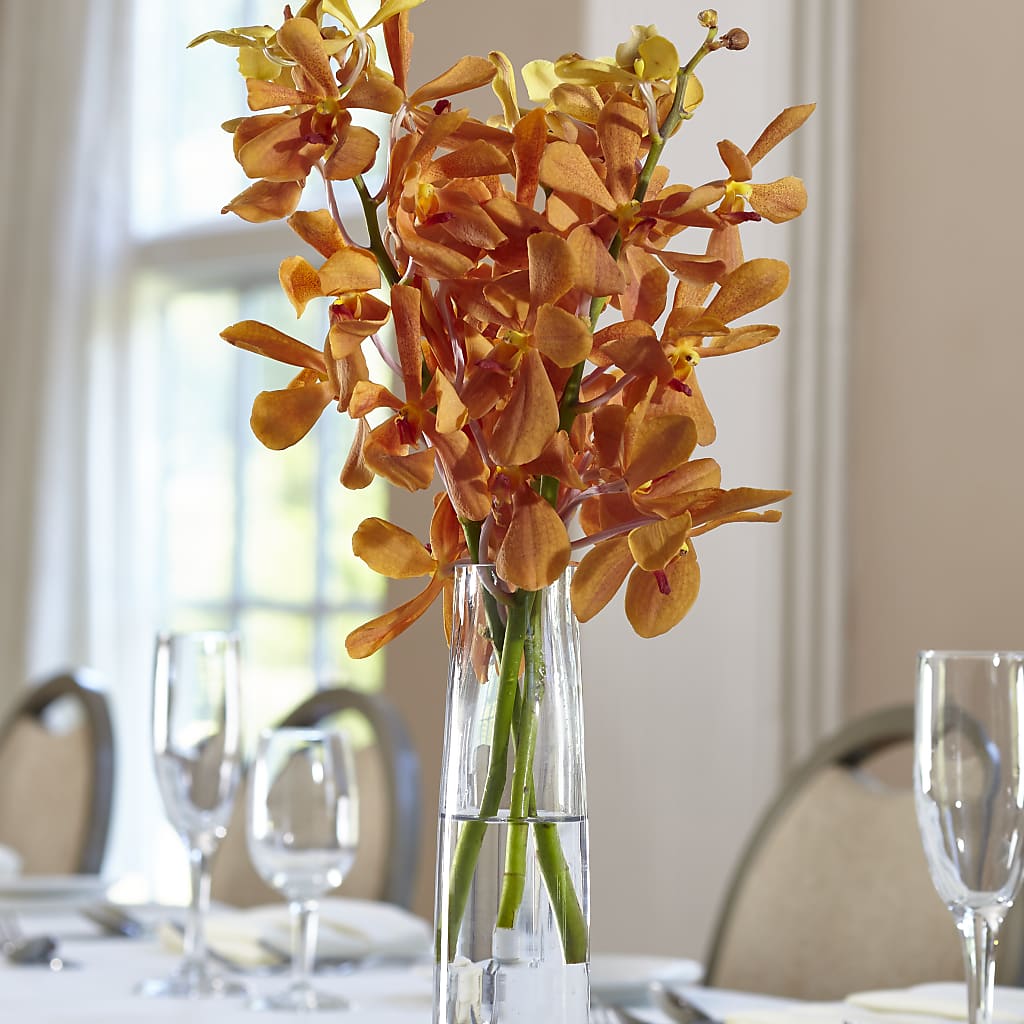 Orange Mokara Bud Vase – GLAMMY'S FLOWER GARDEN, Fayette AL