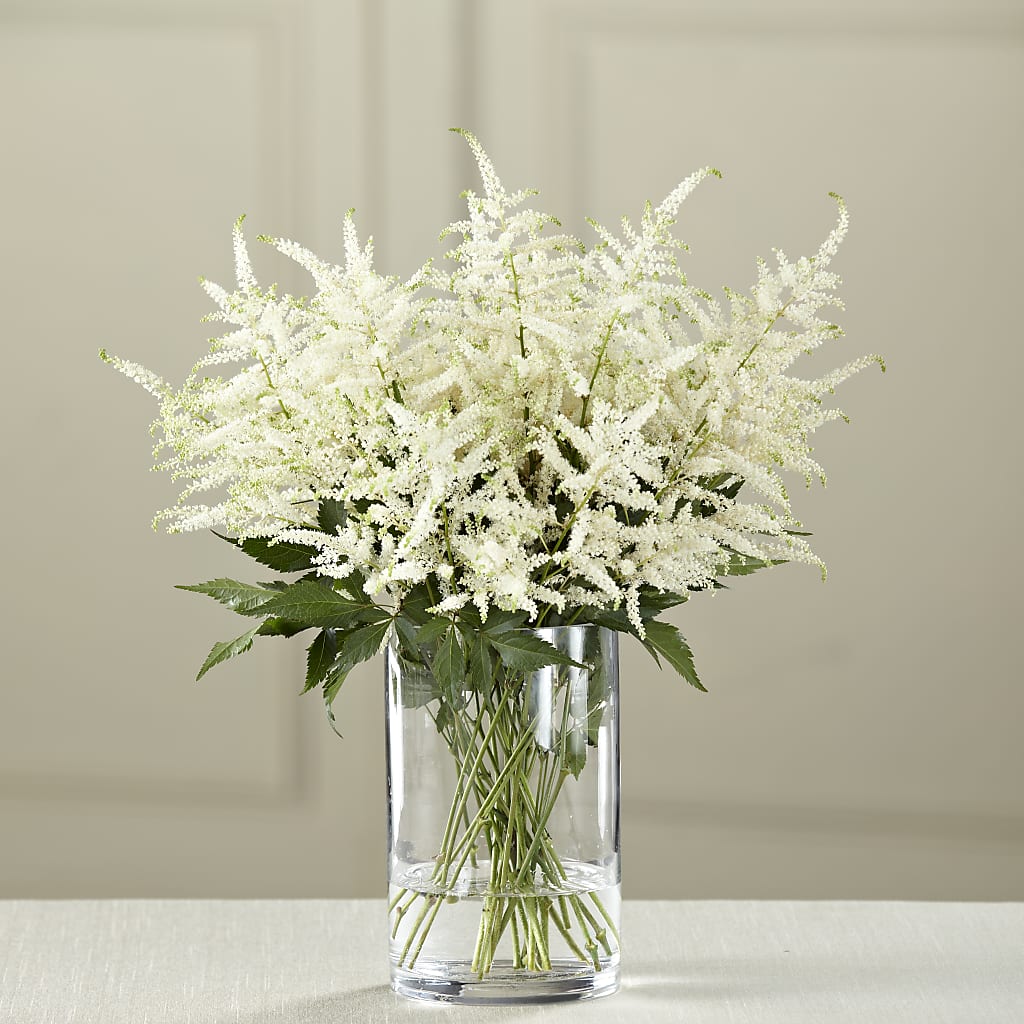 White Astilbe Bouquet – GLAMMY'S FLOWER GARDEN, Fayette AL