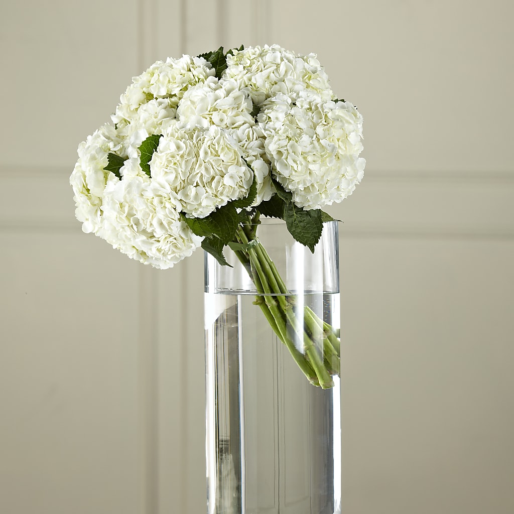 White Hydrangea Hand-Tied Bouquet – GLAMMY'S FLOWER GARDEN, Fayette AL