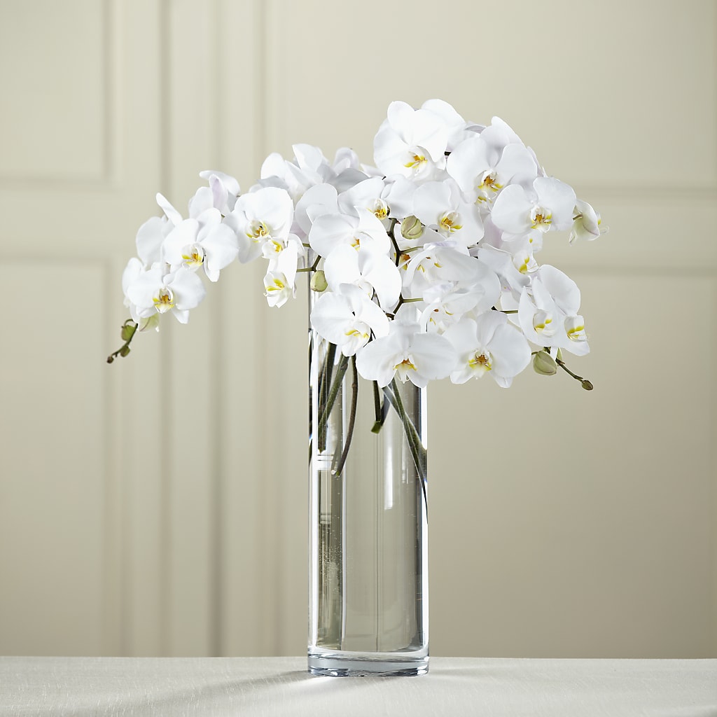 White Phalaenopsis Bouquet – GLAMMY'S FLOWER GARDEN, Fayette AL