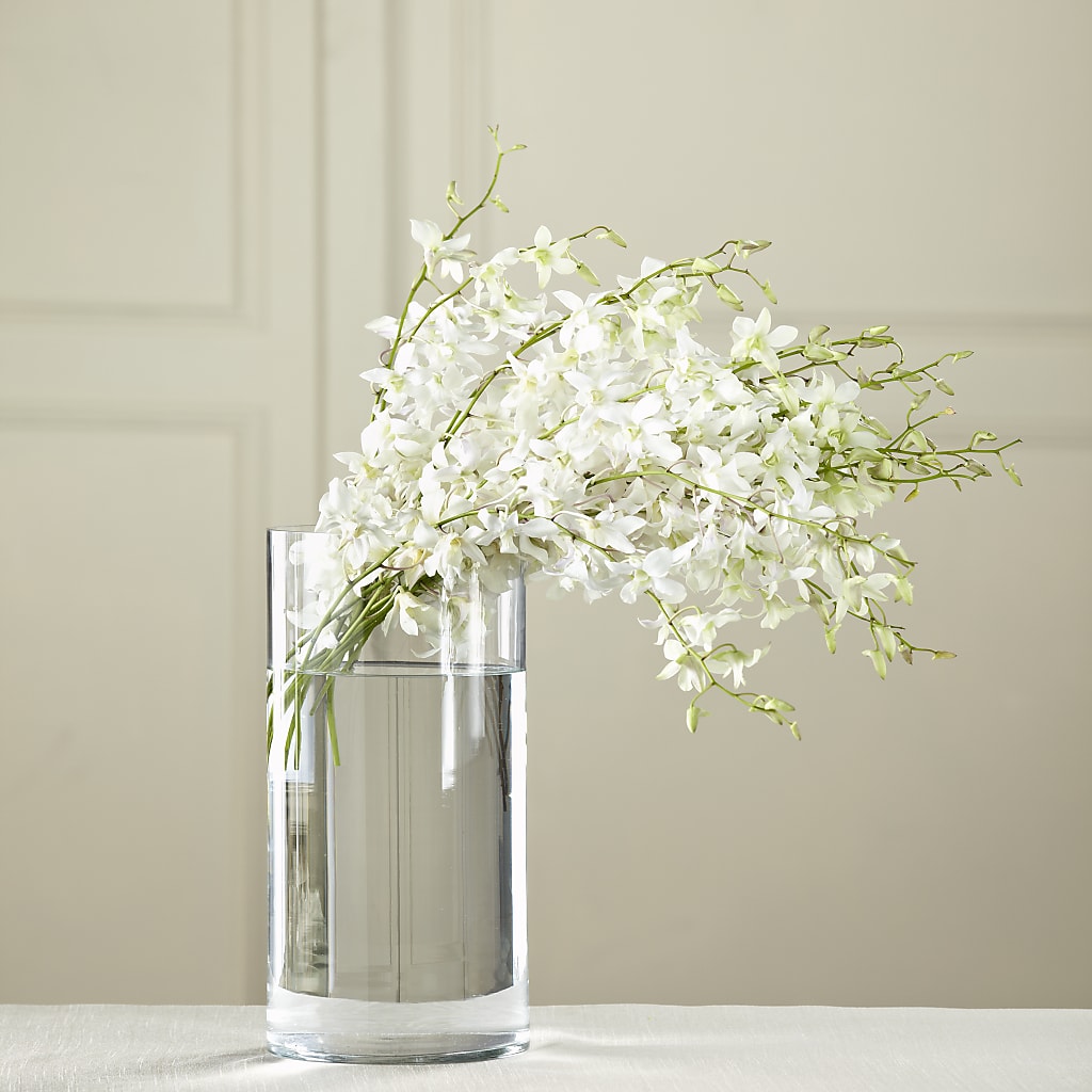 White Dendrobium Bouquet – GLAMMY'S FLOWER GARDEN, Fayette AL