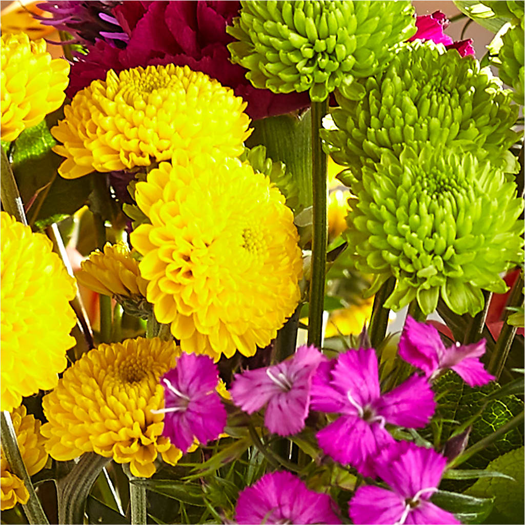 Bold & Bright – A Florist Original – GLAMMY'S FLOWER GARDEN, Fayette AL