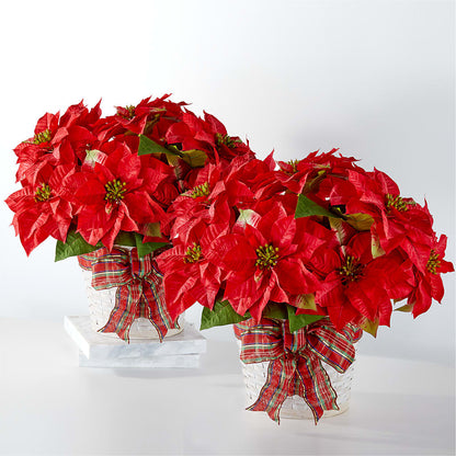 Happiest Holidays Poinsettia Bundle – GLAMMY'S FLOWER GARDEN, Fayette AL