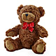 Adorable Plush Bear – GLAMMY'S FLOWER GARDEN, Fayette AL
