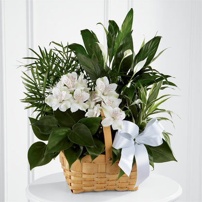 Peace & Serenity Dishgarden – GLAMMY'S FLOWER GARDEN, Fayette AL