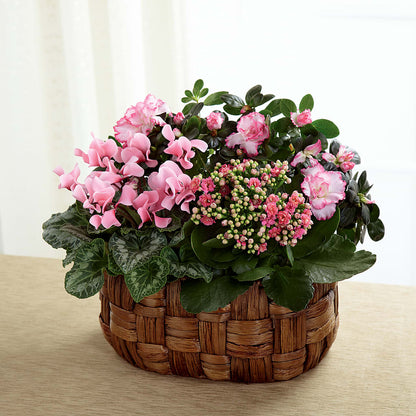 Pink Assortment – GLAMMY'S FLOWER GARDEN, Fayette AL