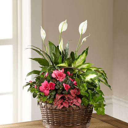 Dream in Pink Dishgarden – GLAMMY'S FLOWER GARDEN, Fayette AL