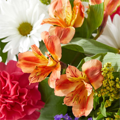 Oopsie Daisy Box Bouquet – GLAMMY'S FLOWER GARDEN, Fayette AL