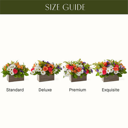Oopsie Daisy Box Bouquet – GLAMMY'S FLOWER GARDEN, Fayette AL