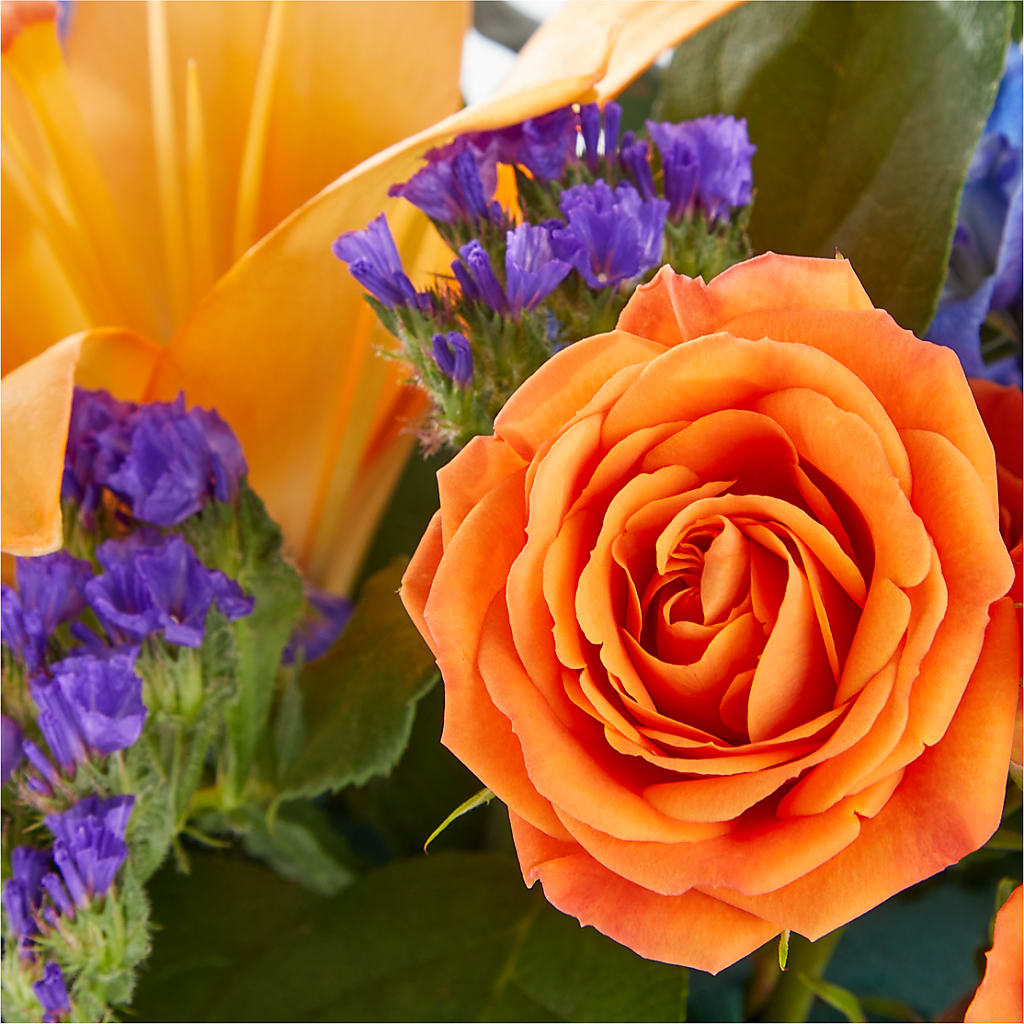 Radiant Citrus Box Bouquet – GLAMMY'S FLOWER GARDEN, Fayette AL