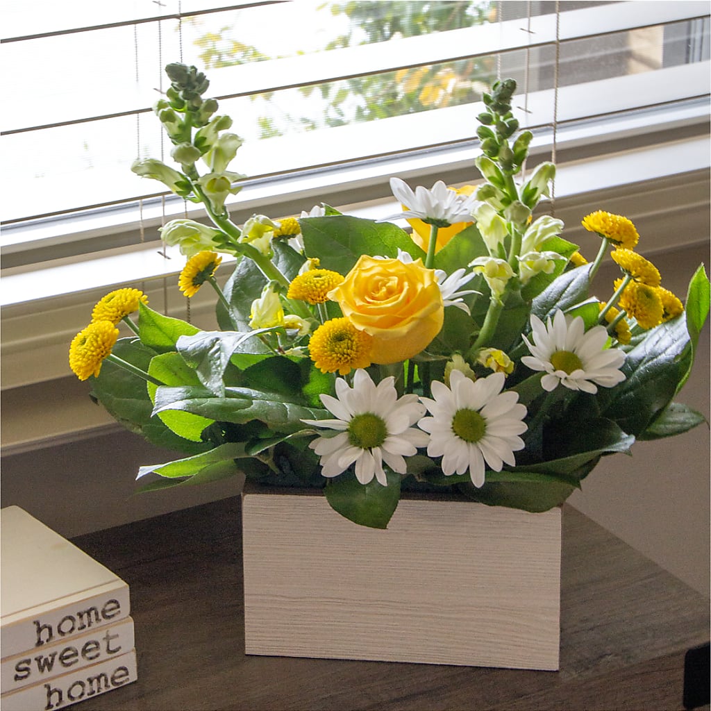 Sun Salutation Box Bouquet – GLAMMY'S FLOWER GARDEN, Fayette AL