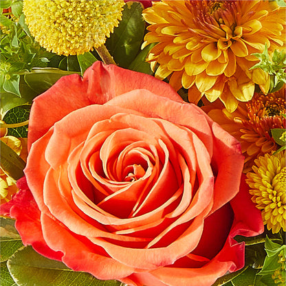 Gourdgeous Pumpkin – GLAMMY'S FLOWER GARDEN, Fayette AL