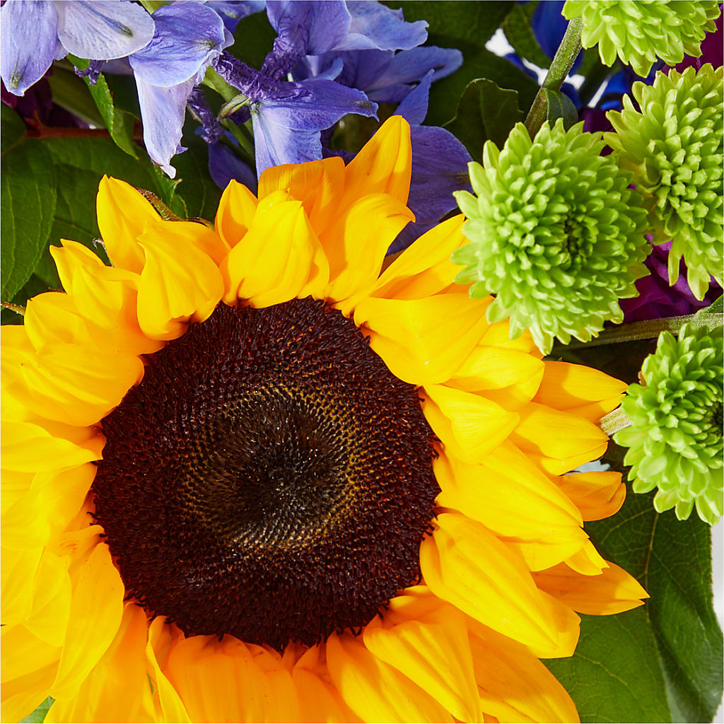Catching Rays Bouquet – GLAMMY'S FLOWER GARDEN, Fayette AL