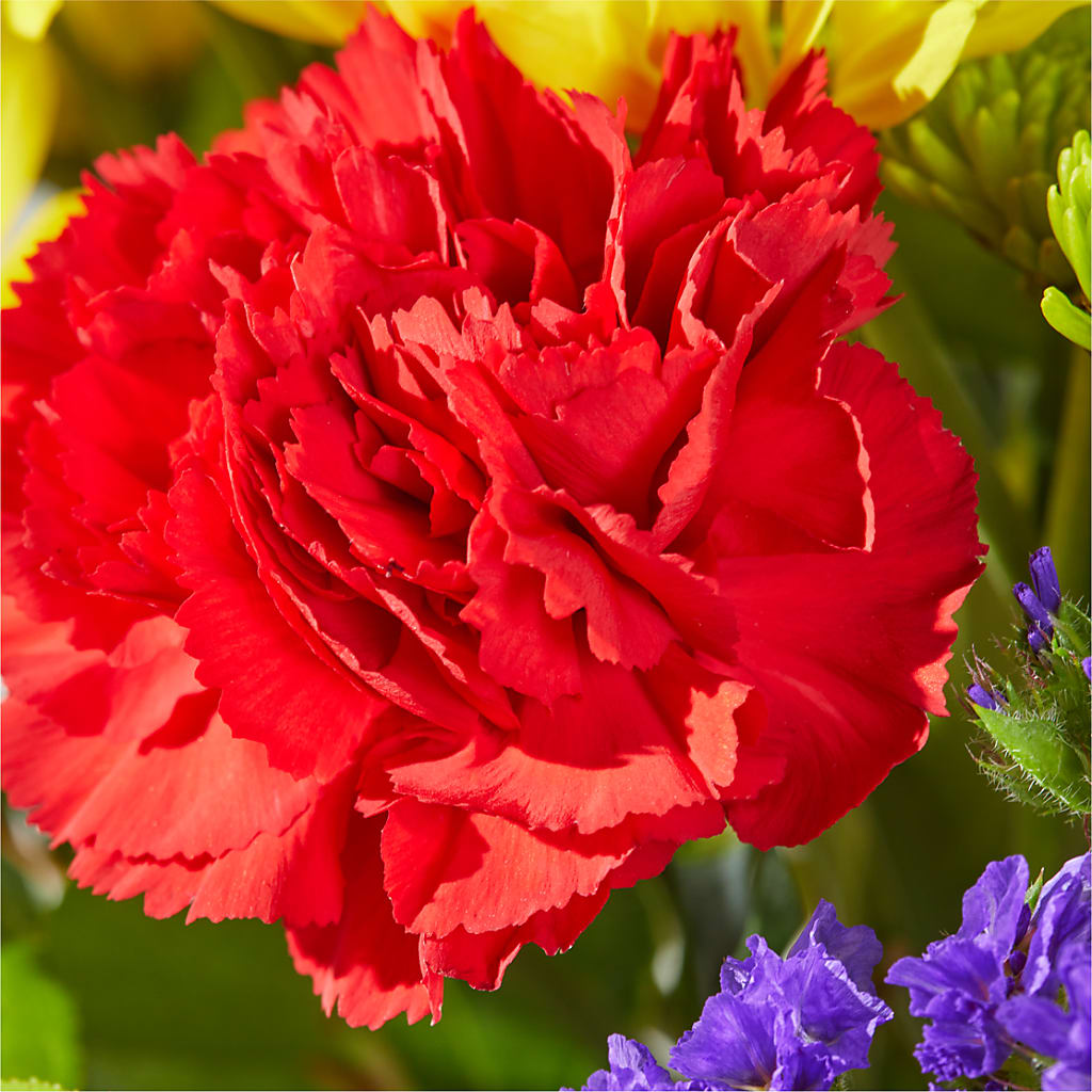 Brighter Days Bouquet – GLAMMY'S FLOWER GARDEN, Fayette AL