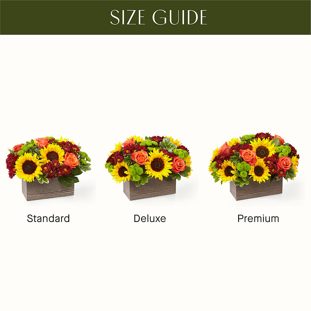 Happy Harvest Garden – GLAMMY'S FLOWER GARDEN, Fayette AL