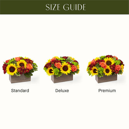 Happy Harvest Garden – GLAMMY'S FLOWER GARDEN, Fayette AL