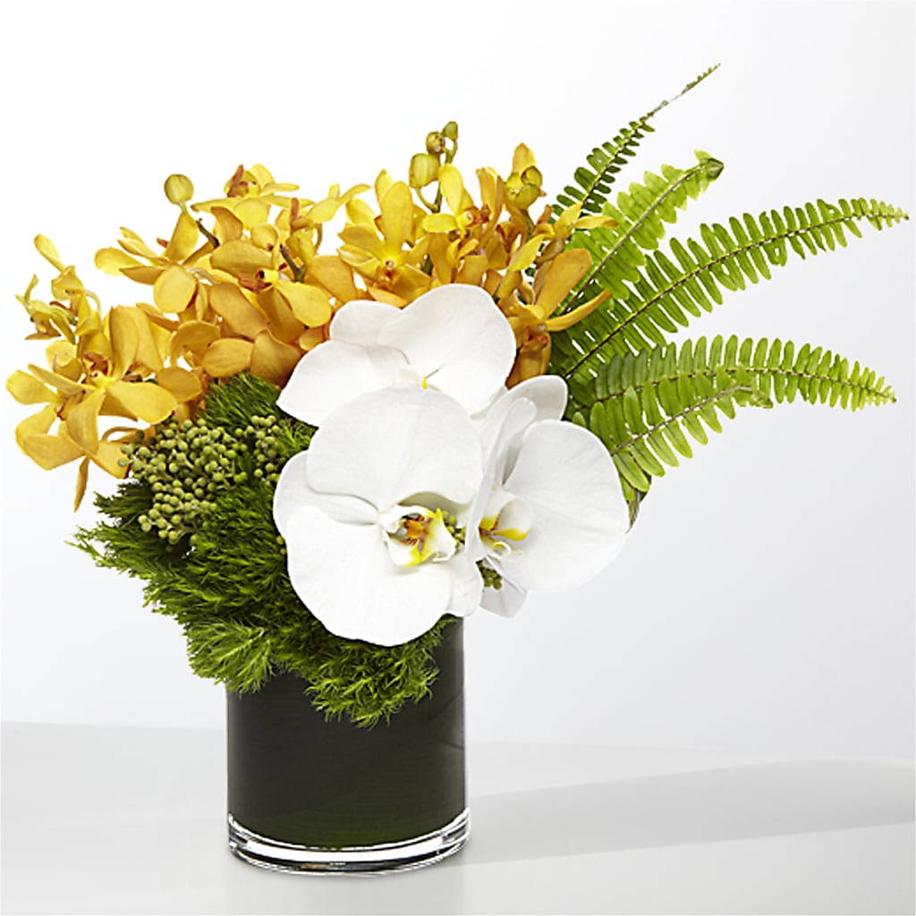 The Tropics – GLAMMY'S FLOWER GARDEN, Fayette AL