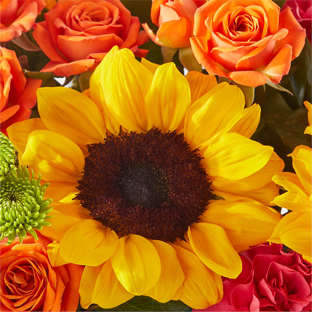 Sun-drenched Blooms Box Bouquet – GLAMMY'S FLOWER GARDEN, Fayette AL