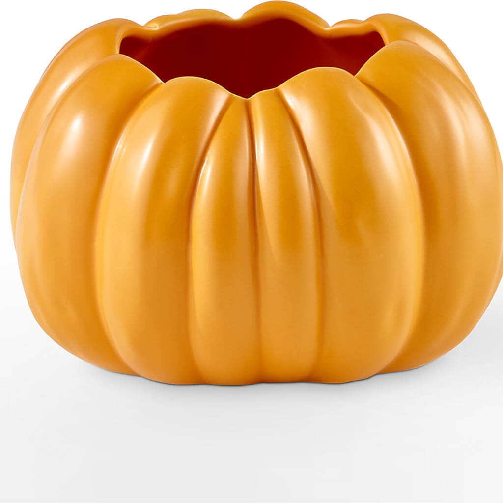 Pick of the Patch Pumpkin Bouquet – GLAMMY'S FLOWER GARDEN, Fayette AL