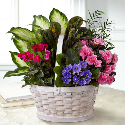 Peaceful Garden Planter – GLAMMY'S FLOWER GARDEN, Fayette AL