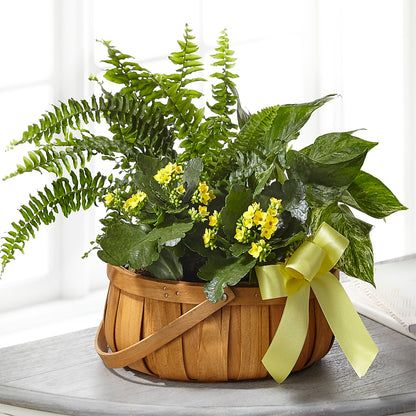 Always Dear Dishgarden – GLAMMY'S FLOWER GARDEN, Fayette AL