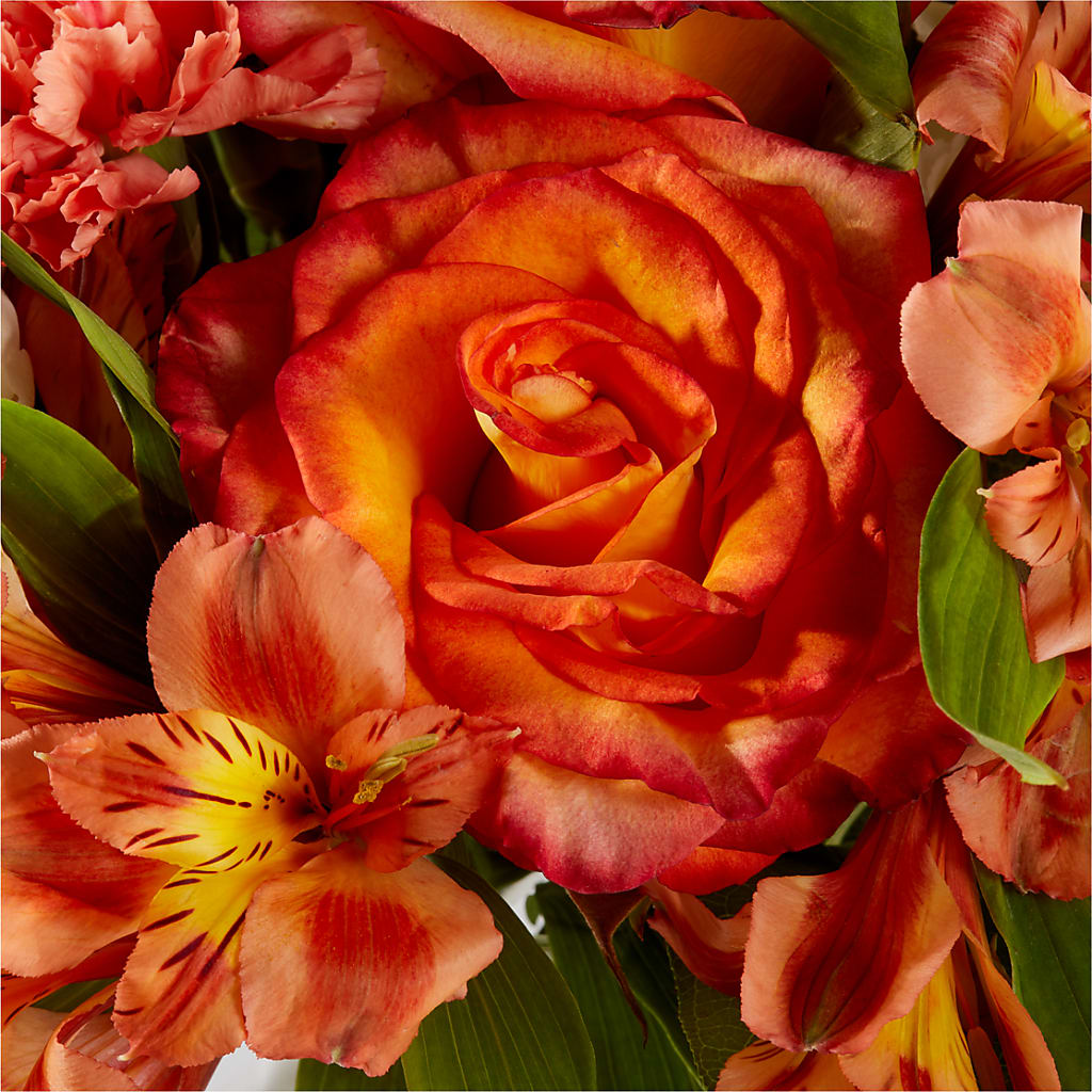 Apricot Glow Bouquet – GLAMMY'S FLOWER GARDEN, Fayette AL