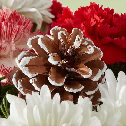 Candy Cane Lane Bouquet – GLAMMY'S FLOWER GARDEN, Fayette AL