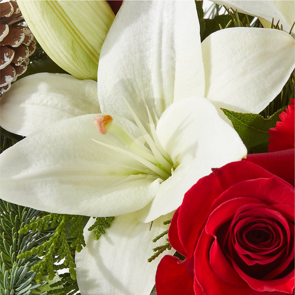Oh So Jolly Bouquet – GLAMMY'S FLOWER GARDEN, Fayette AL