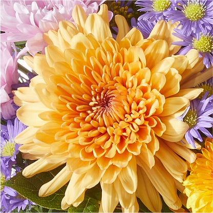 Countryside Bouquet – GLAMMY'S FLOWER GARDEN, Fayette AL