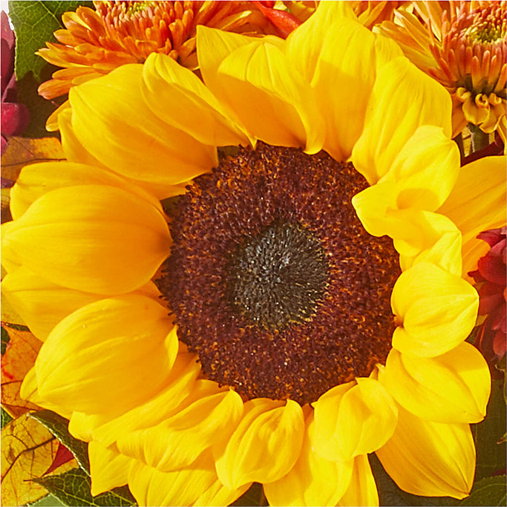 Sunny Side Bouquet – GLAMMY'S FLOWER GARDEN, Fayette AL