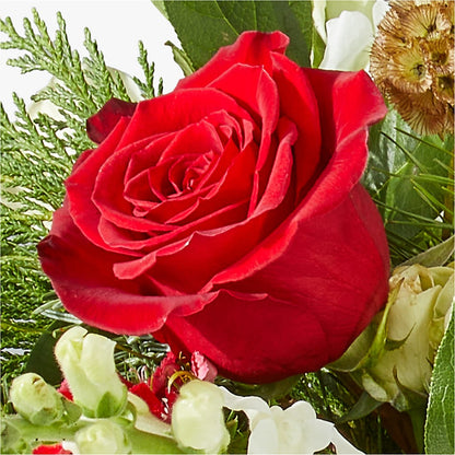 Deck the Halls Bouquet – GLAMMY'S FLOWER GARDEN, Fayette AL