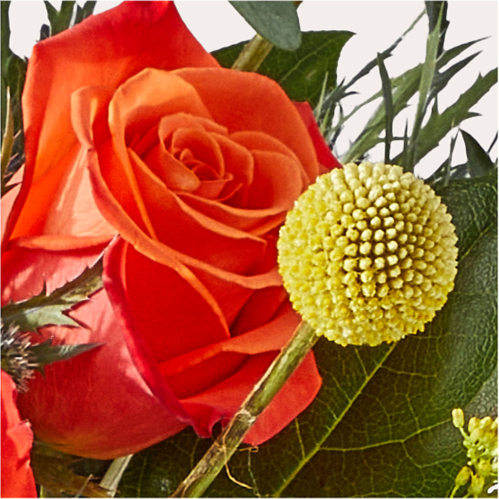 Disco Bouquet – GLAMMY'S FLOWER GARDEN, Fayette AL