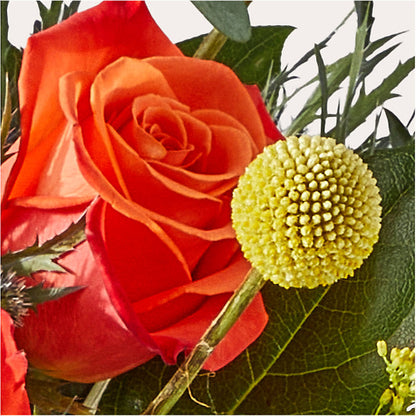 Disco Bouquet – GLAMMY'S FLOWER GARDEN, Fayette AL