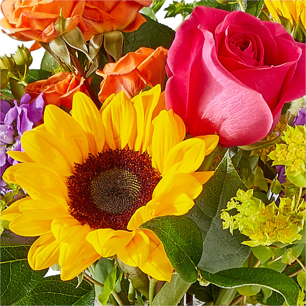 Vibrant Greetings Bouquet – GLAMMY'S FLOWER GARDEN, Fayette AL