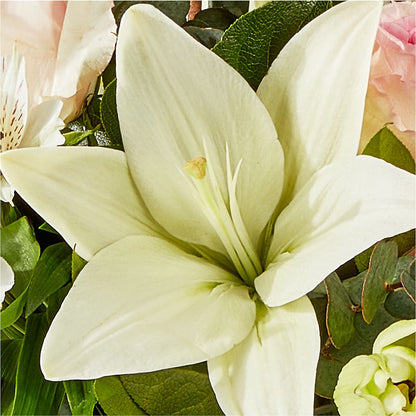 Ballet Slippers Bouquet – GLAMMY'S FLOWER GARDEN, Fayette AL