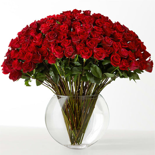 The Idealist – GLAMMY'S FLOWER GARDEN, Fayette AL
