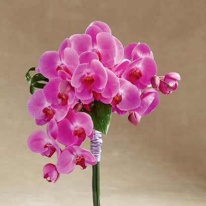 Glorious Bouquet – GLAMMY'S FLOWER GARDEN, Fayette AL