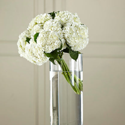 White Hydrangea Hand-Tied Bouquet – GLAMMY'S FLOWER GARDEN, Fayette AL
