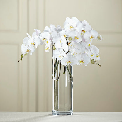 White Phalaenopsis Bouquet – GLAMMY'S FLOWER GARDEN, Fayette AL